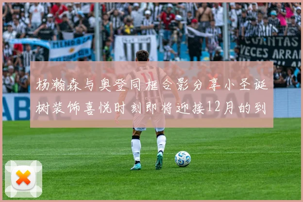 杨瀚森与奥登同框合影分享小圣诞树装饰喜悦时刻即将迎接12月的到来