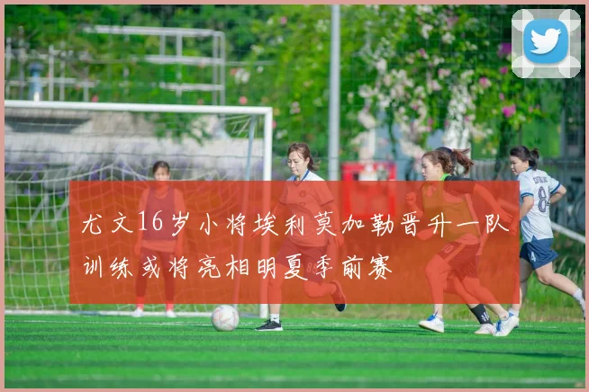 尤文16岁小将埃利莫加勒晋升一队训练或将亮相明夏季前赛